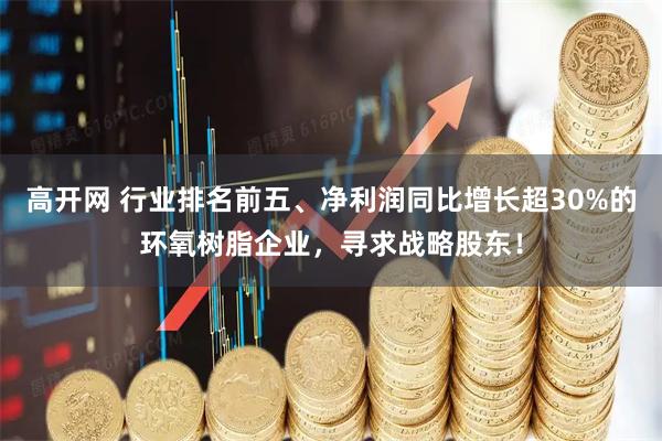 高开网 行业排名前五、净利润同比增长超30%的环氧树脂企业，寻求战略股东！