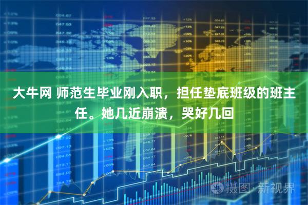 大牛网 师范生毕业刚入职，担任垫底班级的班主任。她几近崩溃，哭好几回