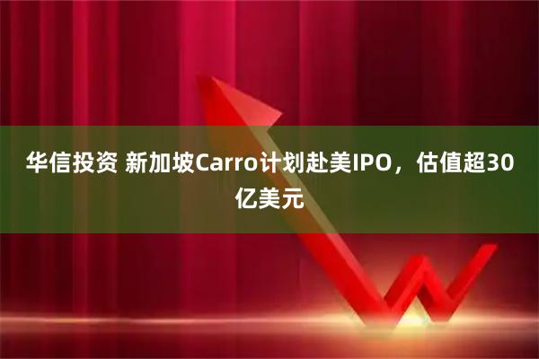 华信投资 新加坡Carro计划赴美IPO，估值超30亿美元