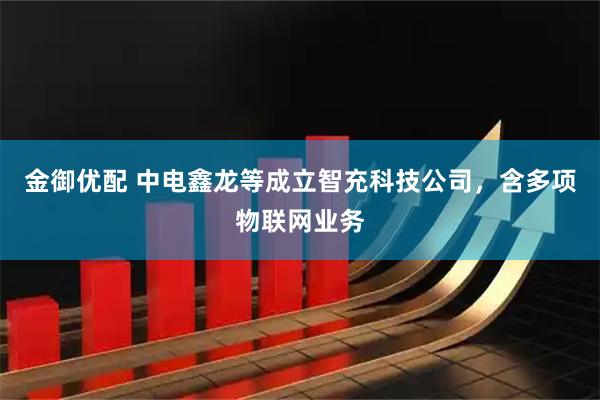 金御优配 中电鑫龙等成立智充科技公司，含多项物联网业务