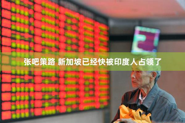 张吧策路 新加坡已经快被印度人占领了