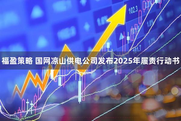 福盈策略 国网凉山供电公司发布2025年履责行动书