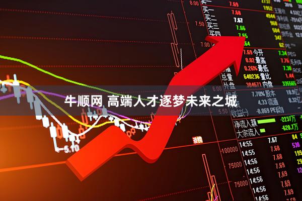 牛顺网 高端人才逐梦未来之城