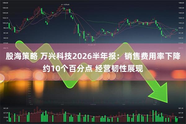 股海策略 万兴科技2026半年报：销售费用率下降约10个百分点 经营韧性展现